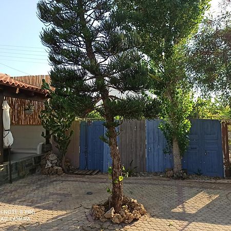 Cactus Home 卡拉马基 外观 照片