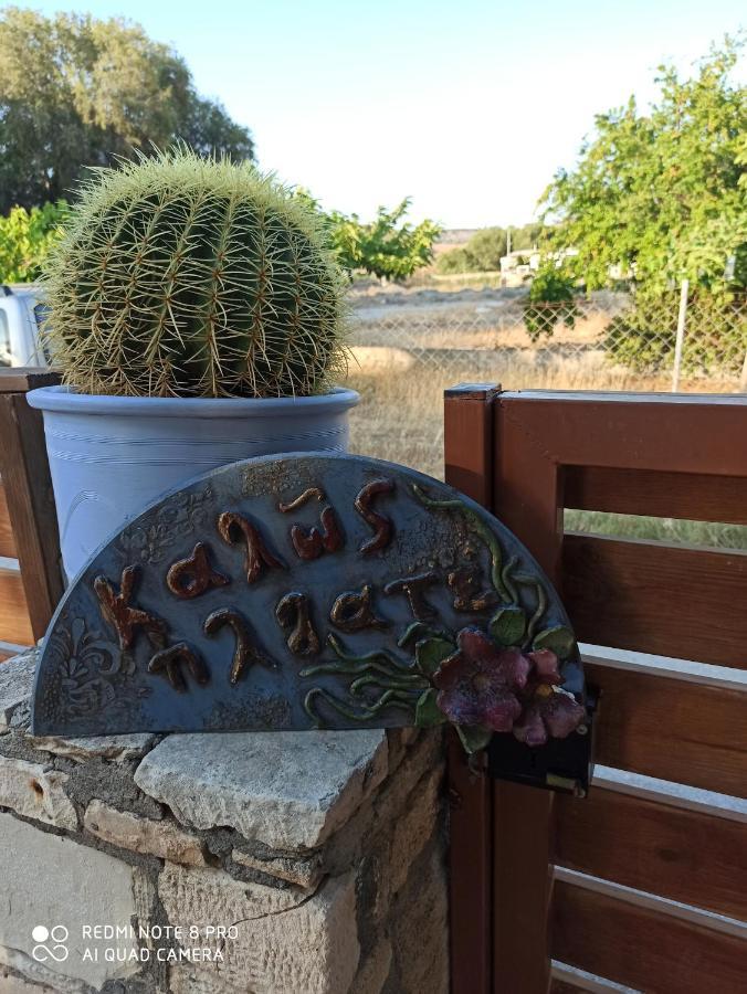 Cactus Home 卡拉马基 外观 照片
