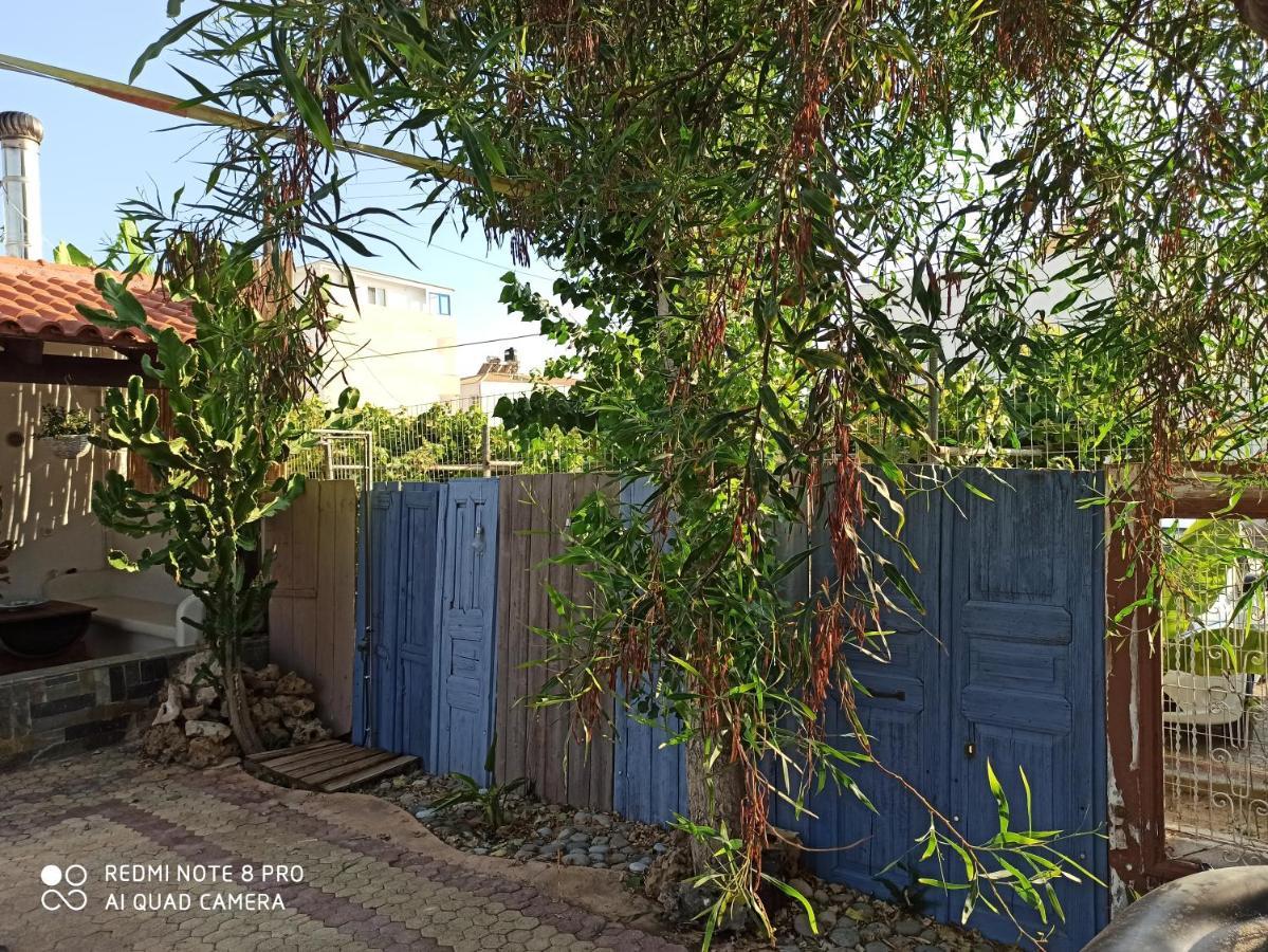 Cactus Home 卡拉马基 外观 照片