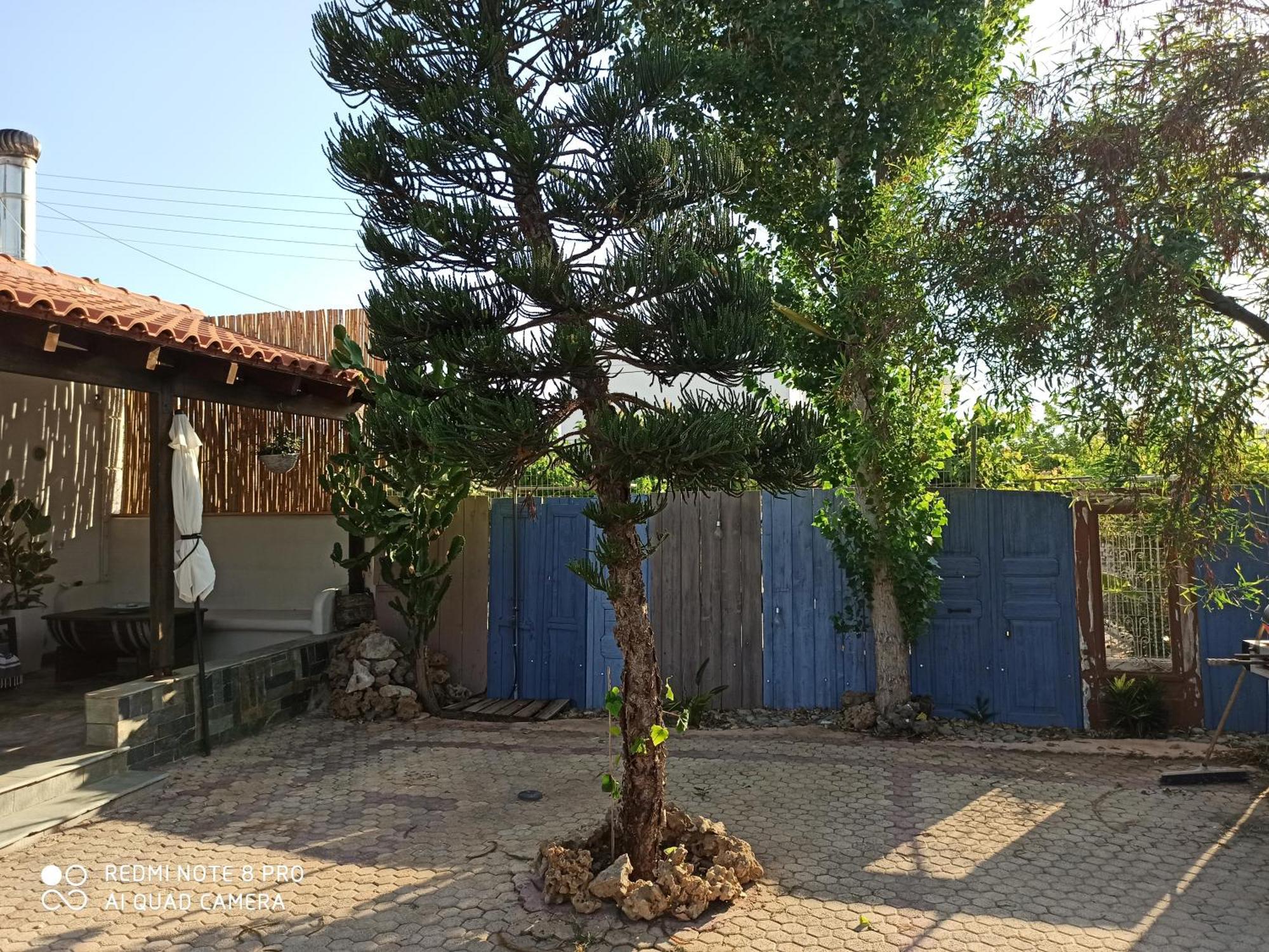 Cactus Home 卡拉马基 外观 照片