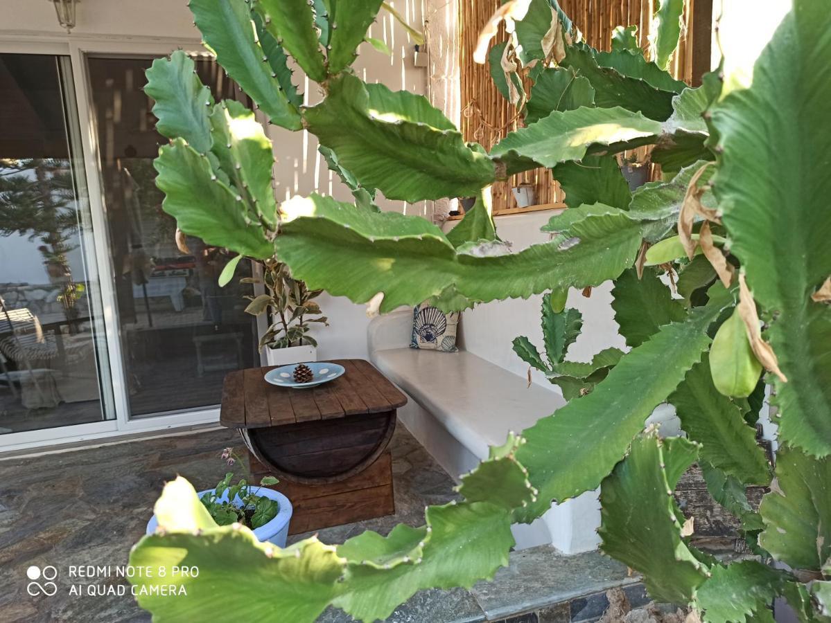 Cactus Home 卡拉马基 外观 照片