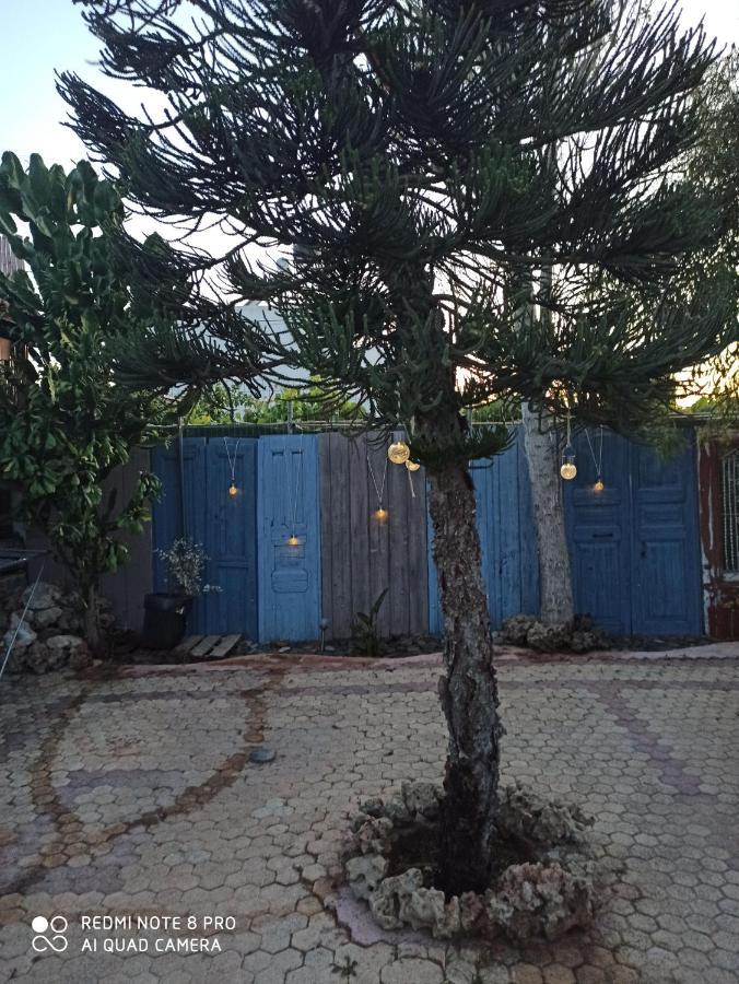 Cactus Home 卡拉马基 外观 照片