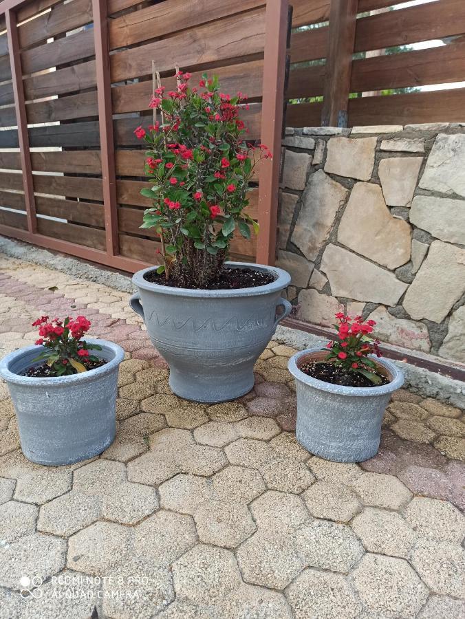 Cactus Home 卡拉马基 外观 照片